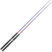Colmic Full Shot Acid Trolling Rod Argenté 1.98 m / 20 Lbs