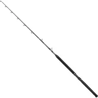 Penn Marine Brigade Trolling Baitcasting Rod Argenté 1.98 m / 20-40 Lbs