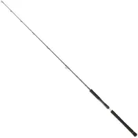 Daiwa Legalis Jigging Rod Argenté 1.96 m / 180 g