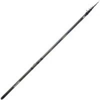 Daiwa Team Strong Float Bolognese Rod Argenté 5.00 m / 20-100 g