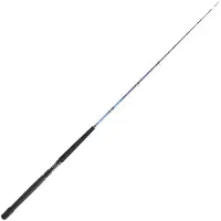 Daiwa Tanacom Boat Bottom Shipping Rod Argenté 2.00 m / 250-1000 g