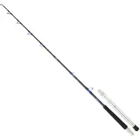 Daiwa Canne à Pêche Saltiga Bt