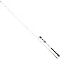 Daiwa Megaforce Jigging Rod Argenté 2.10 m / 90-210 g