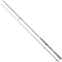 Daiwa Saltist Ags Iii Spinning Rod Noir 2.21 m / 10-35 g