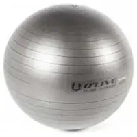 Olive Fitness Fitball Gris 65 cm