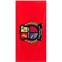 Funky Trunks Club Funky Towel Rouge 80 x 160 cm
