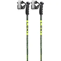 LEKI Detect S Poles Argenté 110 cm
