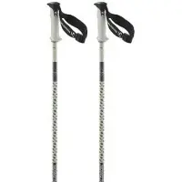 Salomon Polar Pro S3 Poles Argenté 105 cm