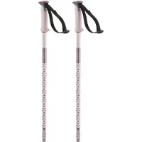 Salomon Polar Poles Argenté 130 cm