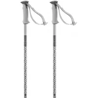 Salomon Polar Poles Argenté 130 cm