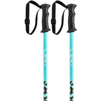 LEKI Rider Junior Poles Argenté 80 cm Garçon