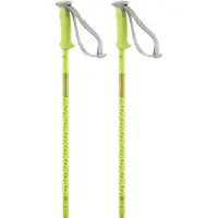 Salomon Polar Poles Clair 105 cm