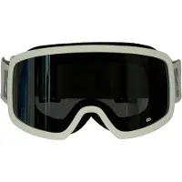 Loubsol Ls2 Ski Goggles Vert Miroir Multicouche Silver/CAT3