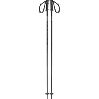 Salomon Polar Poles Argenté 125 cm