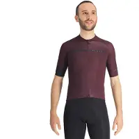 Tsunami Stelvio Short Sleeve Jersey Violet S Homme