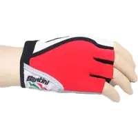 Santini Gel Short Gloves Multicolore 2XL Homme
