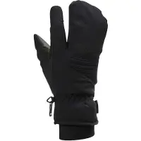 Bioracer Alaska Pro Mittens Noir 2XL