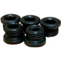 Rotor Pista 5 Chainring Screw Set Argenté