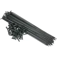 Saltbmx Spokes 50 Units Argenté 184 mm