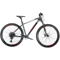 Olmo Carmo 29´´ Sx Eagle 2024 Mtb Bike Gris 47