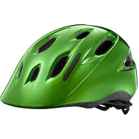 Giant Hoot Arx Helmet Vert Enfants
