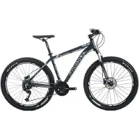 Lupo Raptor 1 29´´ Mtb Bike Gris 51