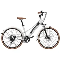 Emotorad Plymouth Electric Bike Argenté One Size / 470Wh