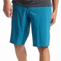 Pearl Izumi Canyon Shorts Bleu 28 Homme