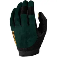 Bluegrass Gants React