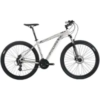 Lupo Raptor New Age 1 27.5´´ Mtb Bike Gris 47