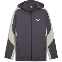 Puma Veste de survêtement 'Evostripe'