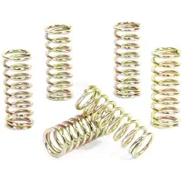 ProX Honda Cr250 ´90-96 + Gas Gas 250/300 ´97-17 Clutch Spring Kit Doré