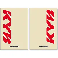 Tecno-x Kyb Fork Protector Graphics Kit Doré