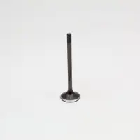 ProX Honda Xr600r 93-00 + Xr650l 93-22 Vc16541 Exhaust Valve Marron