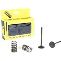 ProX Suzuki Rm-z250 07-23 Vcses33381 Exhaust Valve Argenté