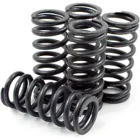 Dp Brakes Hds42-5 Yamaha Yz Clutch Spring Kit 5 Units Argenté