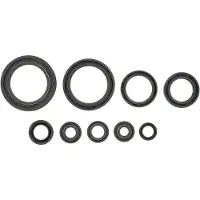Holeshot Honda 2010-2017 Crf250r Oil Seals Kit Argenté