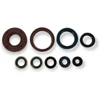 Holeshot Husqvarna 1997-2013 Cr 20125/wr 20125 Oil Seals Kit Argenté
