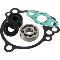 Hotrods Kawasaki Kx 65 06-23 Water Pump Rebuild Kit Argenté