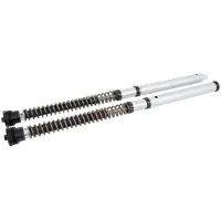 Öhlins Nix30 Indian Ftr 1200 2019-2020 Cartridge Kit Argenté