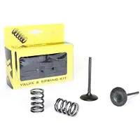 ProX Suzuki Rm-z450 05-06 Vcsis34052 Intake Valve Argenté