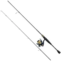 Daiwa Rs602lfsaf+rs1000c Spinning Combo Doré 1.83 m / 5-14 g