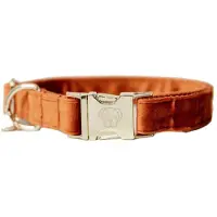 Kentucky Velvet Dog Collar Marron 18-26 cm