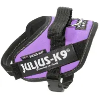 JULIUS K-9 Idc Power Baby Dog Harness Violet Baby 1