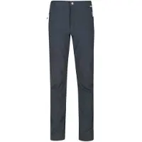 Regatta Geo Softshell Ii Pants Gris 38 / Long Homme