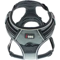 IDog Style Dog Harness Noir XL