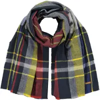 Barts Spirea Scarf Multicolore Femme