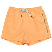 Quiksilver Short De Bain Behind Wave
