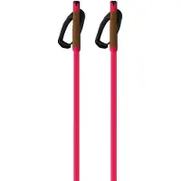Fischer Storm Gtx L Poles Rose 170 cm
