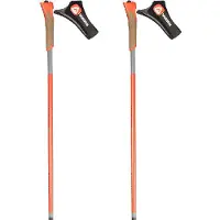 Rossignol Force 10 Poles Argenté 180 cm Homme